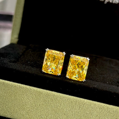 18K T Yellow Crystal Earrings